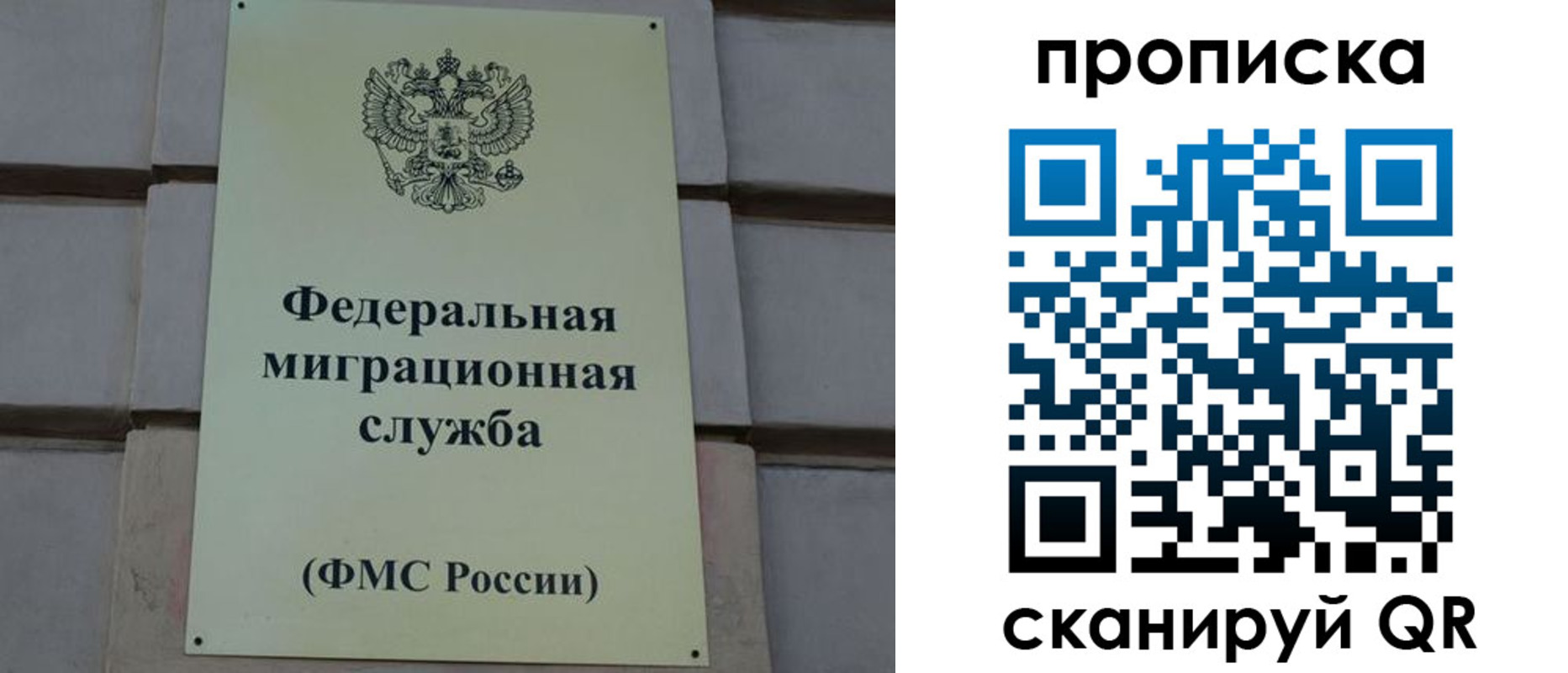 прописка поиск в Почепе